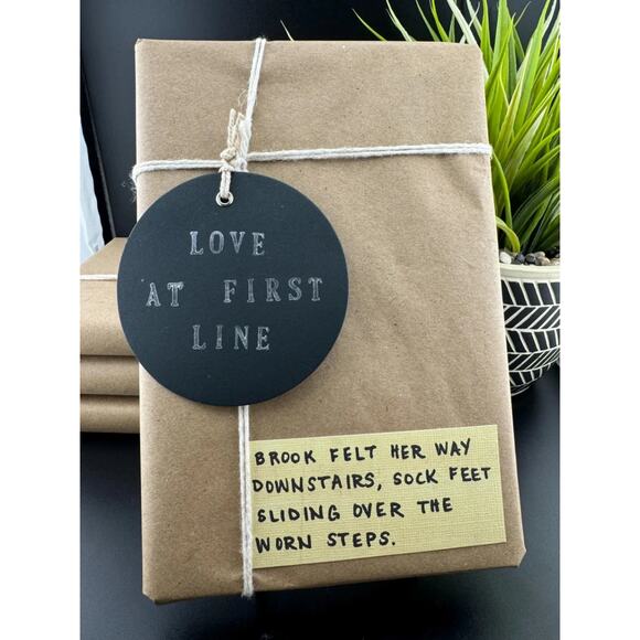 Love At First Line Book "Brook felt her way downstairs, sock feet sliding..." - Picture 1 of 2